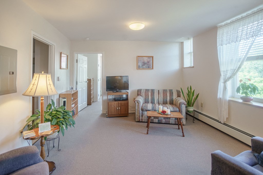 a living room with a couch and a television