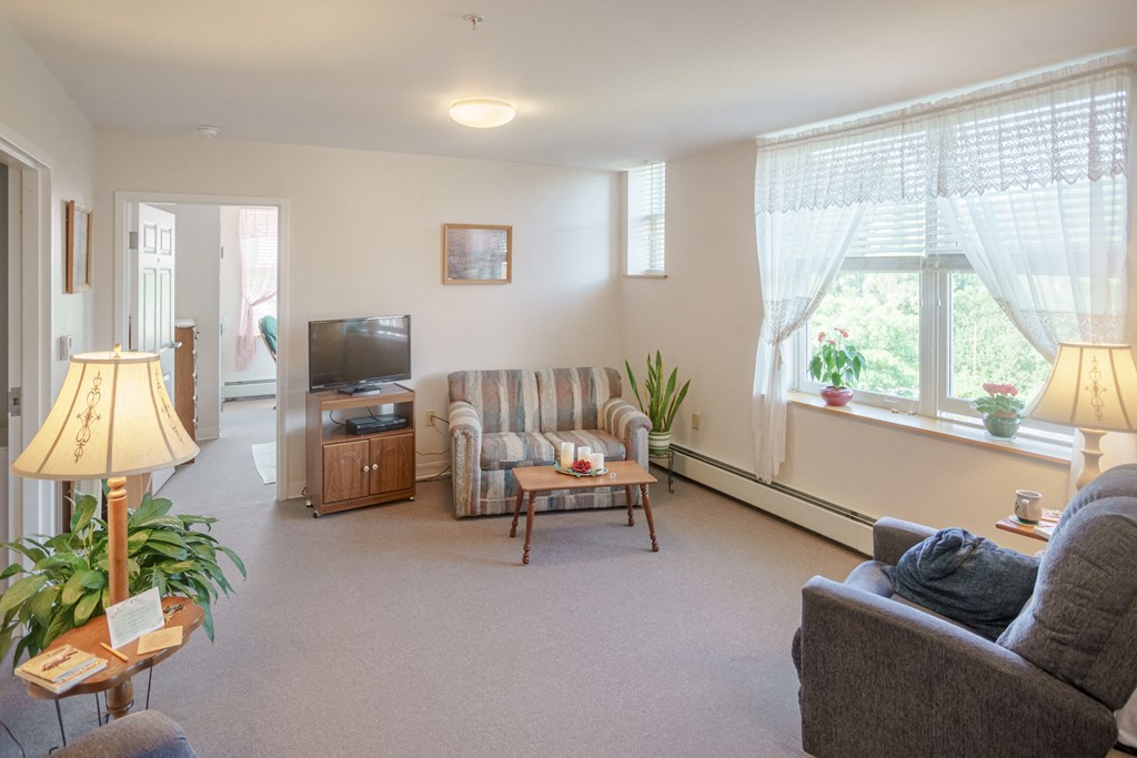 a living room with a couch and a television