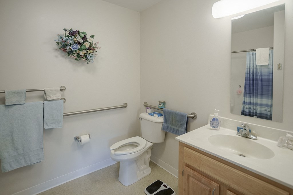 a bathroom with a toilet and a sink and a mirror