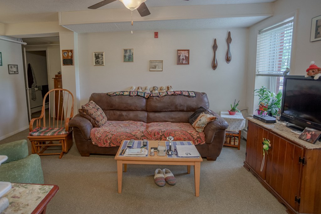 a living room with a couch and a television