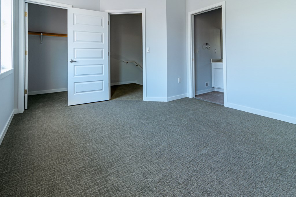 an empty room with a carpeted floor and a closet