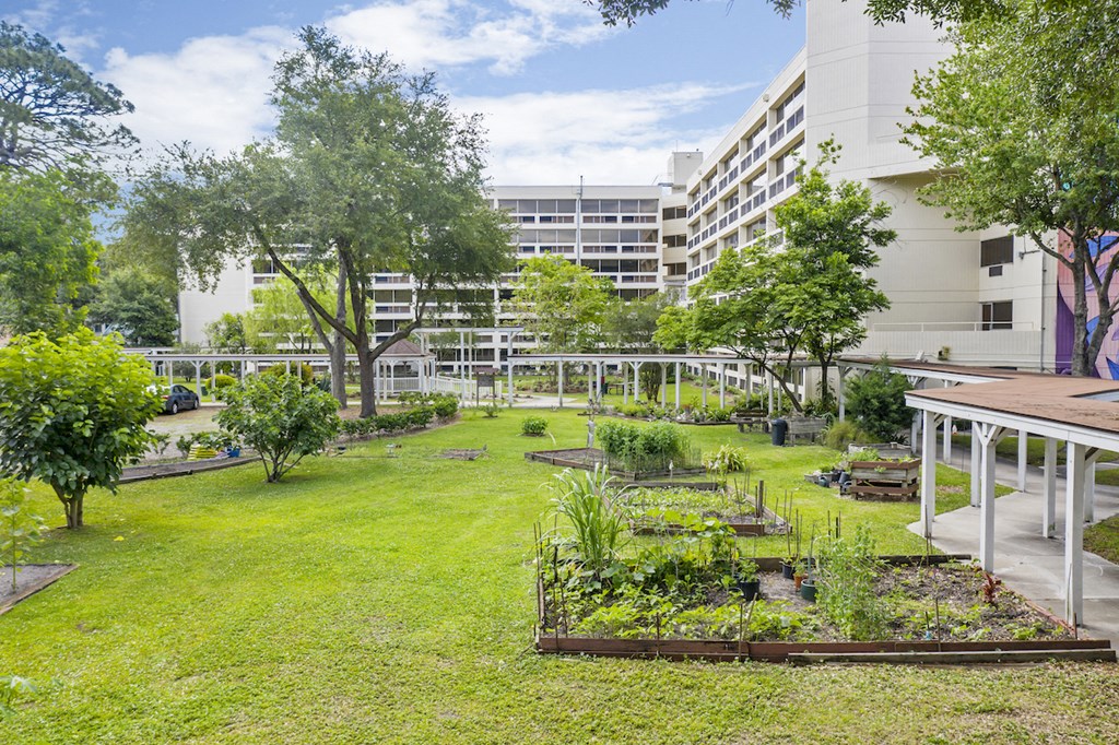 a garden with trees and a building in the background