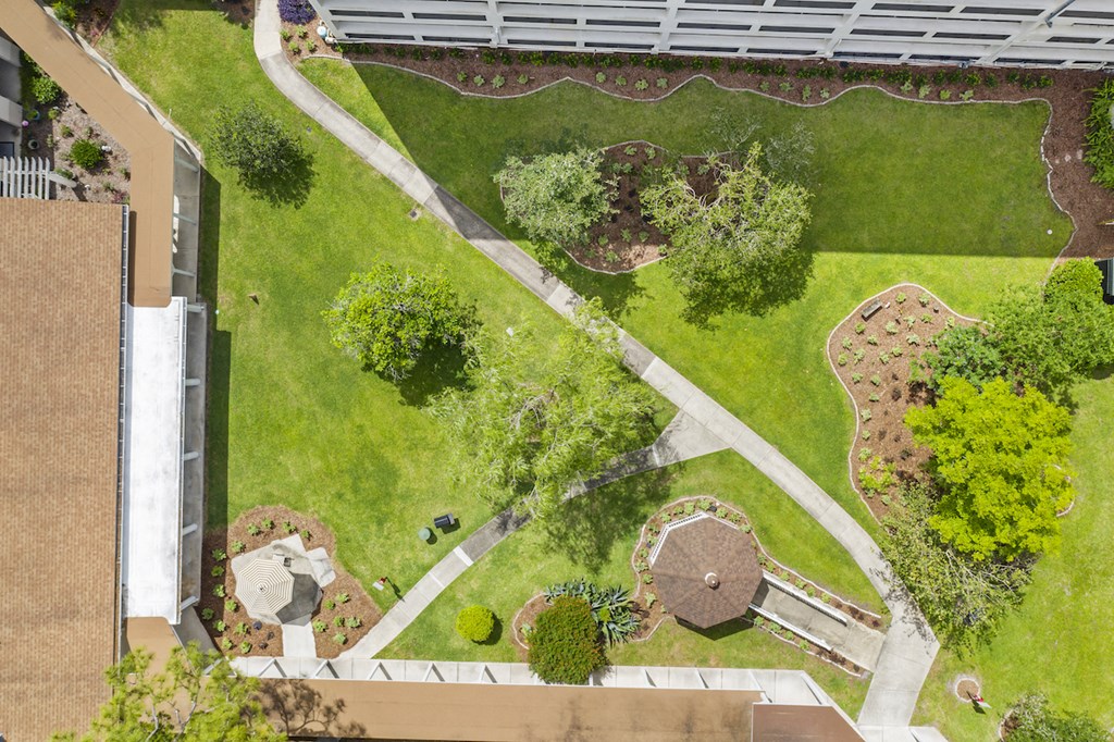 a view of the garden from above