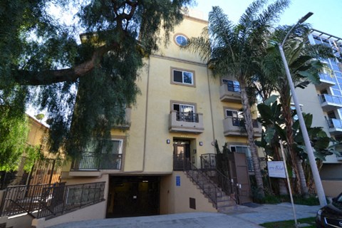 the front of a building with stairs and a tree