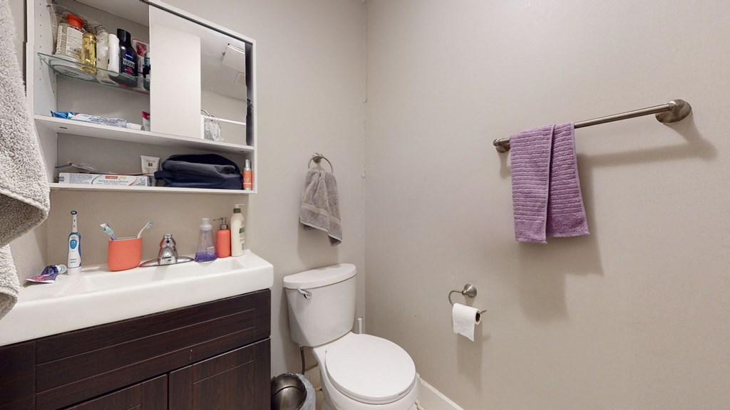 a bathroom with a toilet and a sink and a mirror