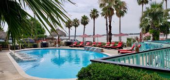 Resort Style Pool with Tanning Ledge