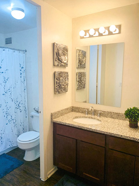 Bathroom With Vanity Lights at 7251 at Waters Edge, Chicago, Illinois