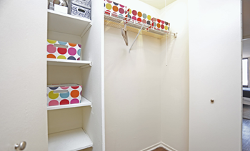 Large Closets at 7251 at Waters Edge, Illinois