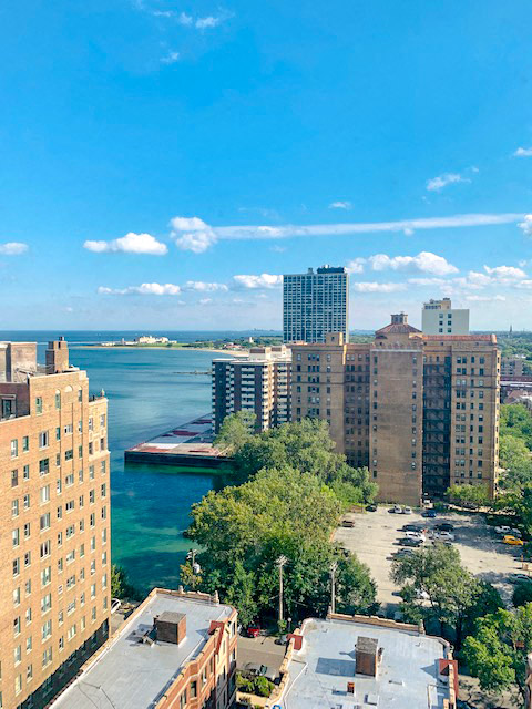 view of lakefront and buiidings at 7251 at Waters Edge, Chicago, 60649