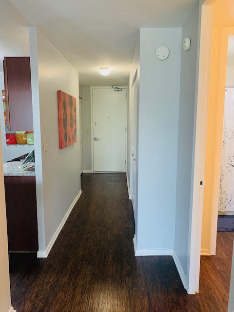 Apartment hallway at 7251 at Waters Edge, Chicago