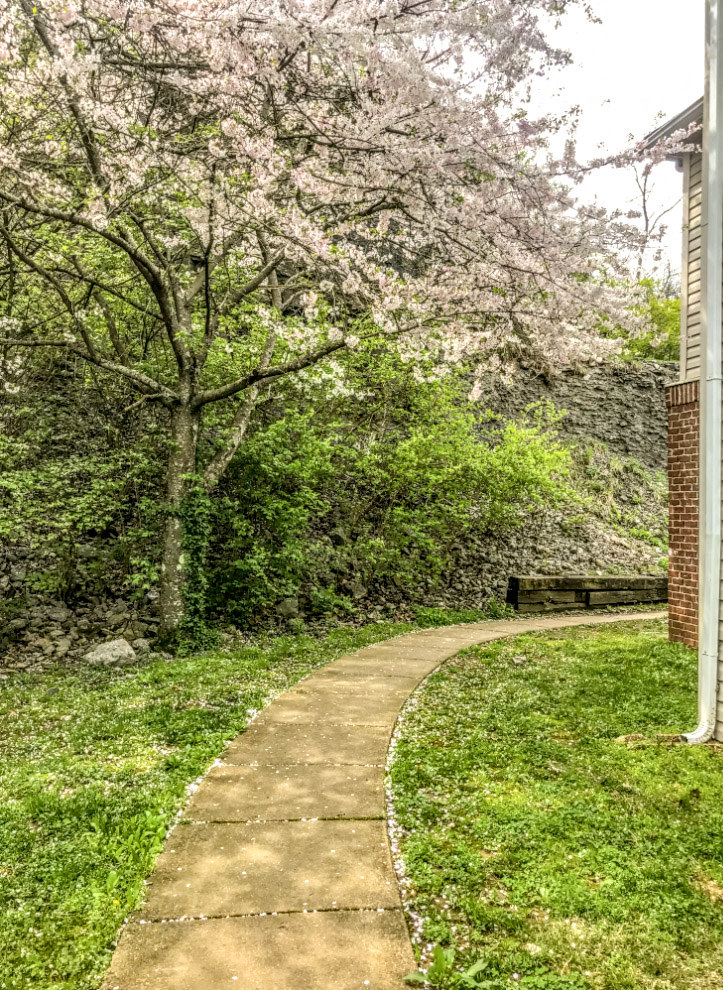 Walking path between buildings at Cobblestone Corners Apartment Homes, Nashville, TN, 37216