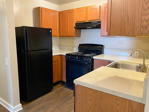 a kitchen with a black refrigerator and a sink