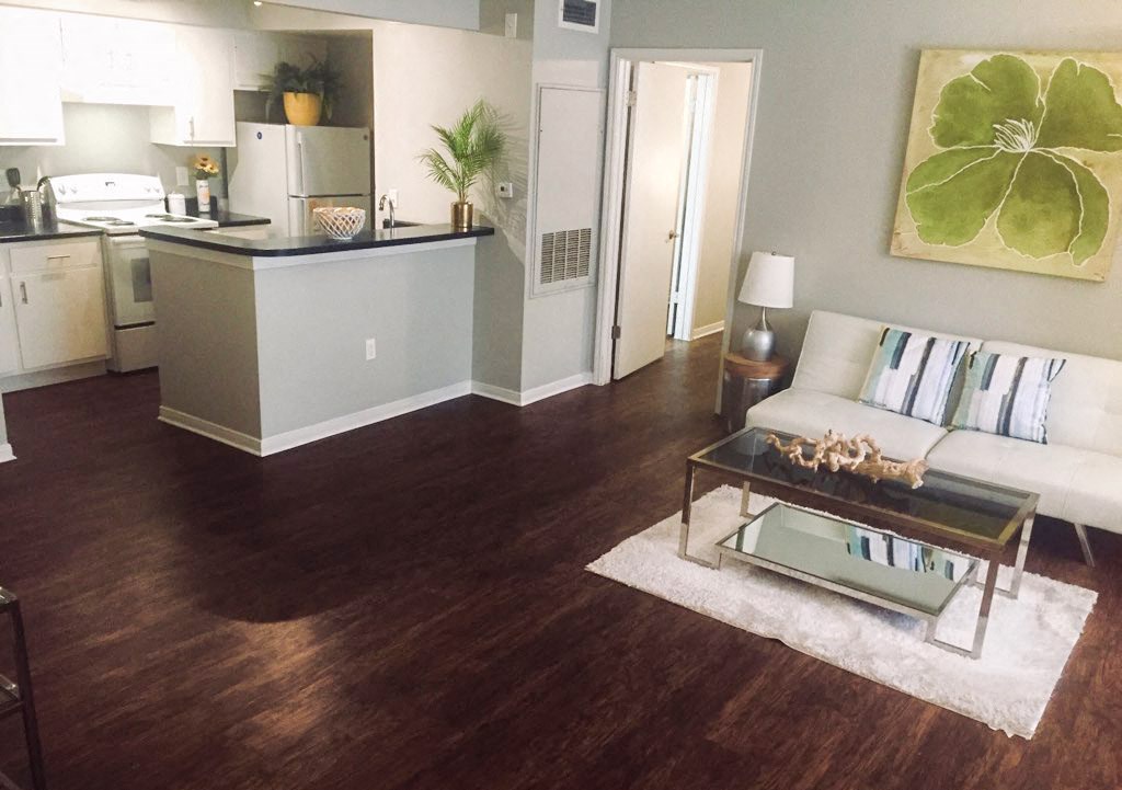 Furnished living room and kitchen