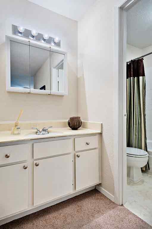 Bathroom sink and mirror