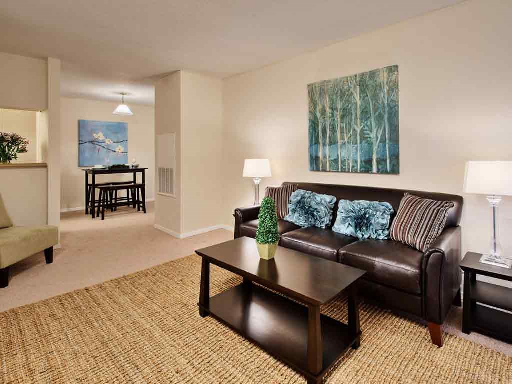 Furnished living room