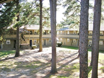 Courtyard surrounded by two buildings - Photo Gallery 2