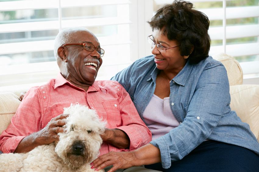 We Are Pet Friendly at Lakewood Towers Senior Apartments in Lake Villa, IL - Photo Gallery 1