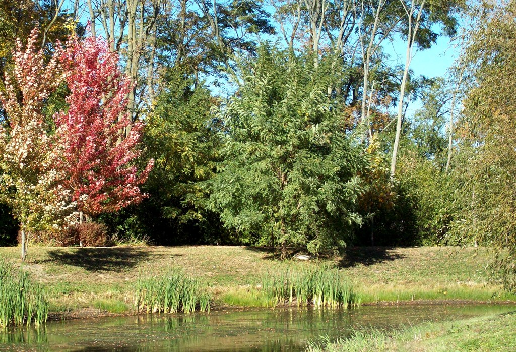 Pond at Lakewood Towers Senior Apartments in Lake Villa, IL
