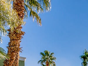 Viridian Palms Apartments 2675 S Nellis Blvd Las Vegas Nv Rentcafe
