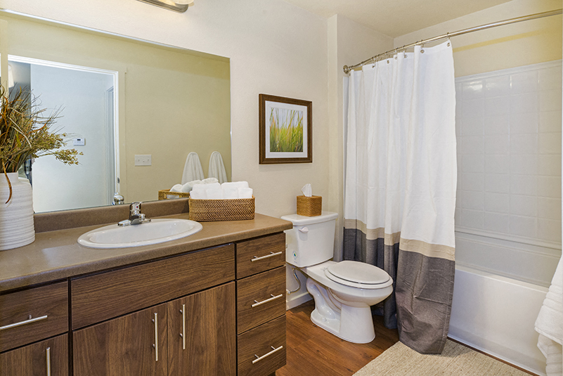 Bathroom Copper Mountain Apt Rentals in Richland WA 99352