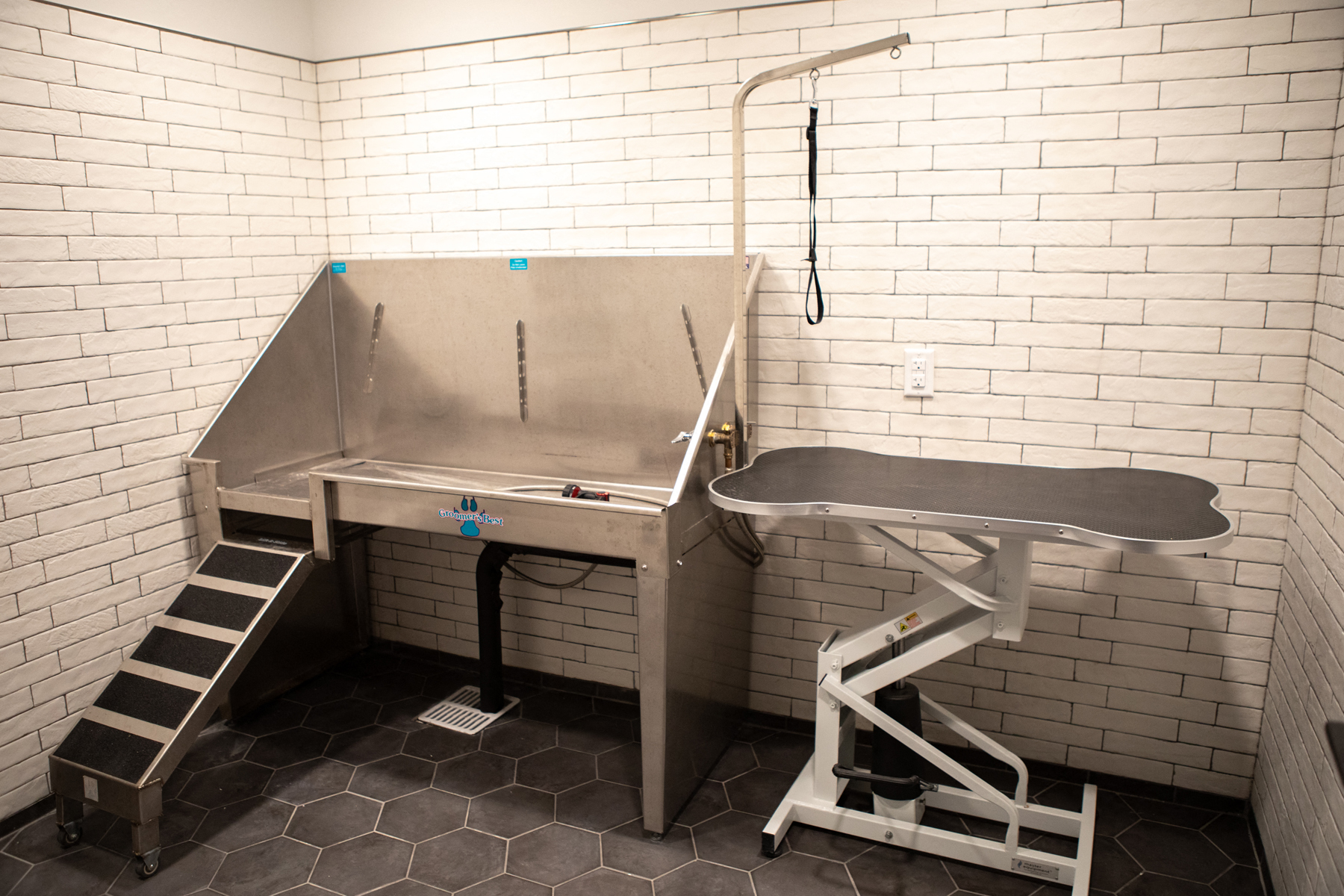 Center Square Lofts Pet Spa