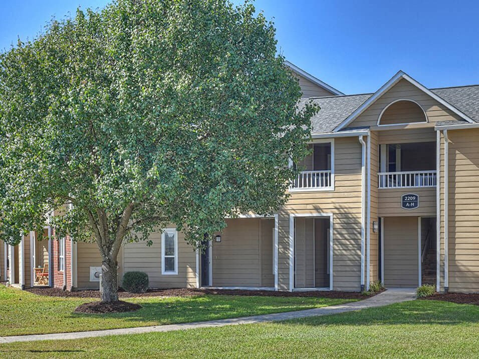 Shade Trees at apartment complex