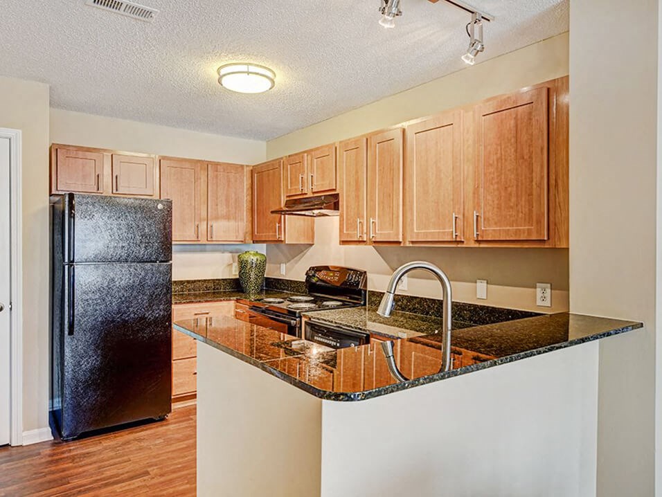 Fully-Equipped Apartment Kitchen