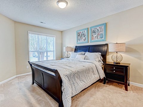 Primary Bedroom in bedroom
