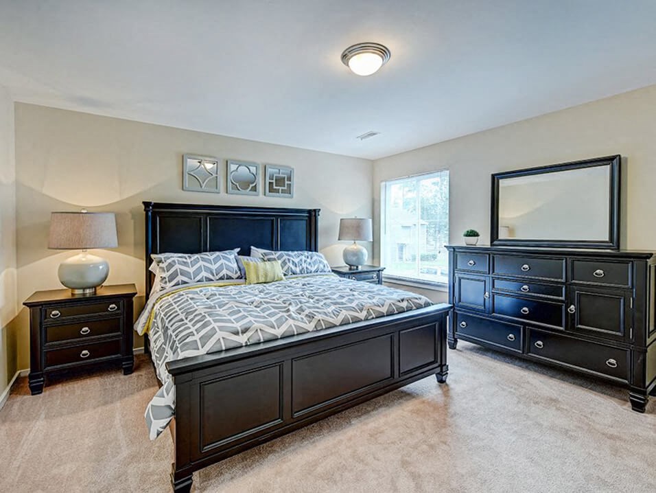 one bedroom apartment for rent in Greenville NC