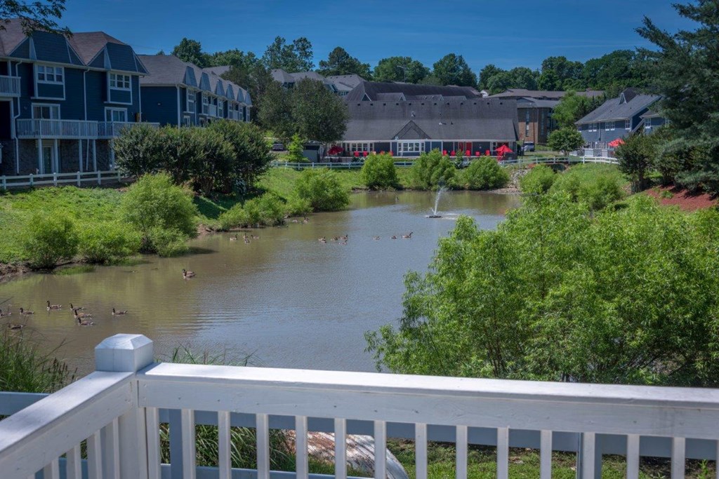a view of a river with buildings and ducks in the water