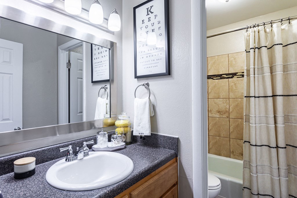 a bathroom with a sink and a shower and a mirror