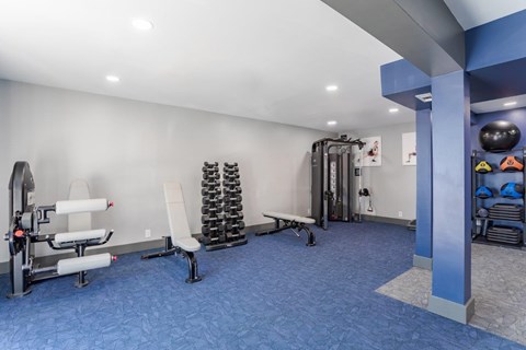 A gym with a variety of equipment including a leg press machine, a bench, and a squat rack.