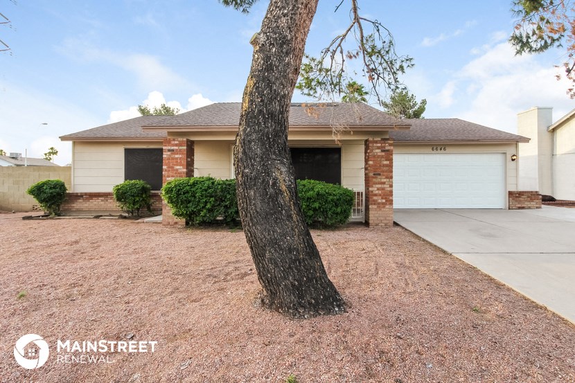 a home with a tree in the front yard