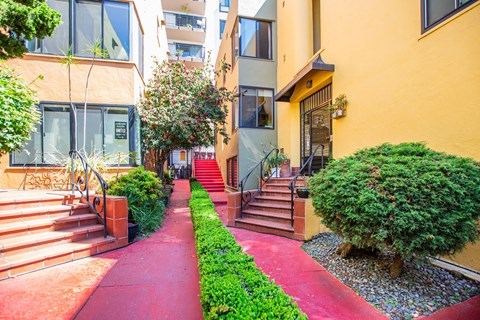 A red pathway leads to a building with a glass door.