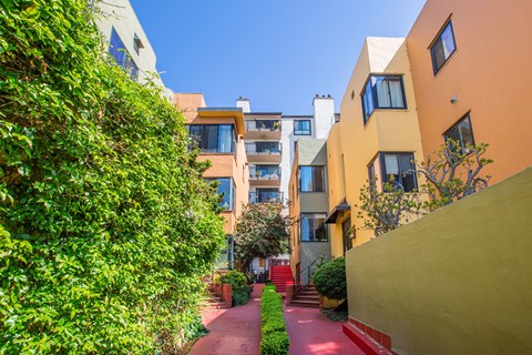 A narrow alley with a red pathway and buildings on either side.