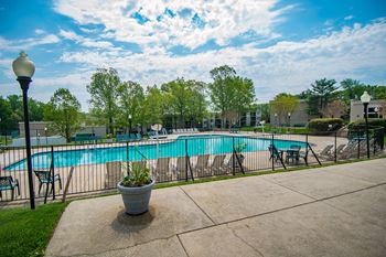 Ashley Apartments Pool Photo 04