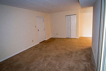 Ashley Apartments Carpeting Photo