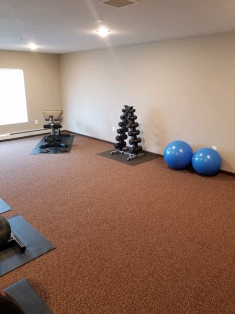 Fitness area