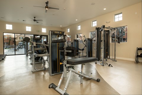 a gym with weights and cardio equipment in a home