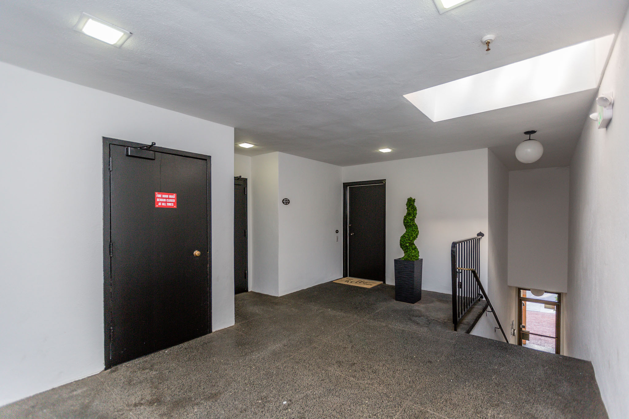 A room with a black door and a grey carpet.