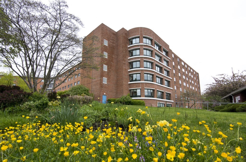 a building in the middle of a field of flowers