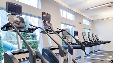 a gym with rows of cardio equipment and windows