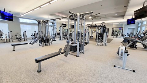 a gym with cardio equipment and weights in a building