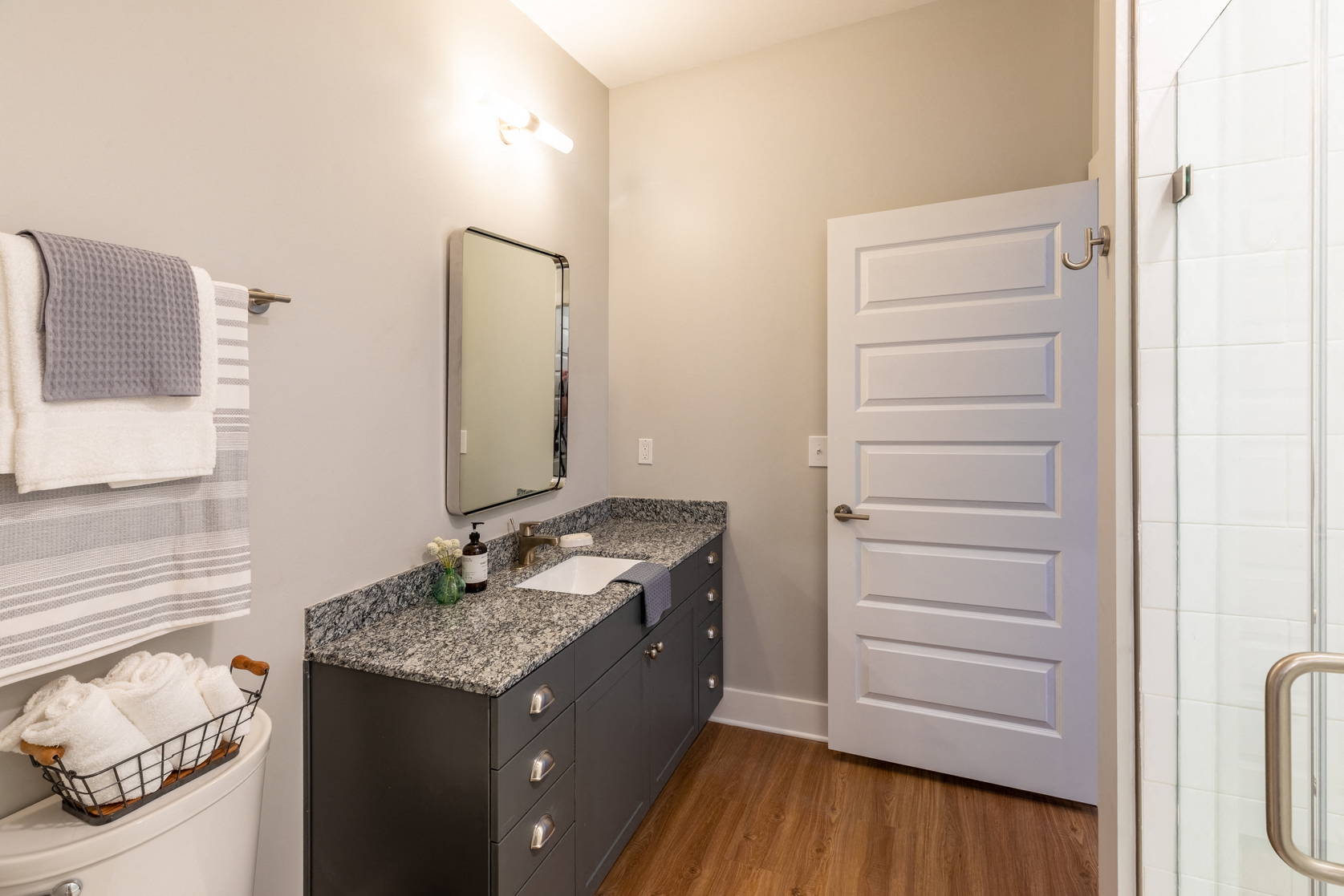a bathroom with a sink and a mirror and a white door
