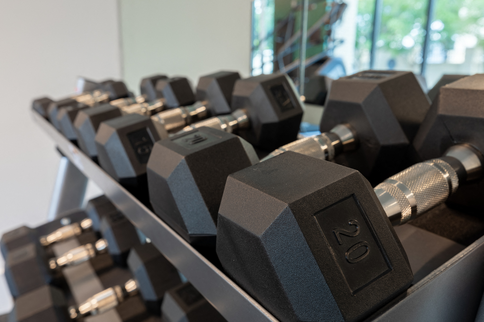 a rack of weights at a gym