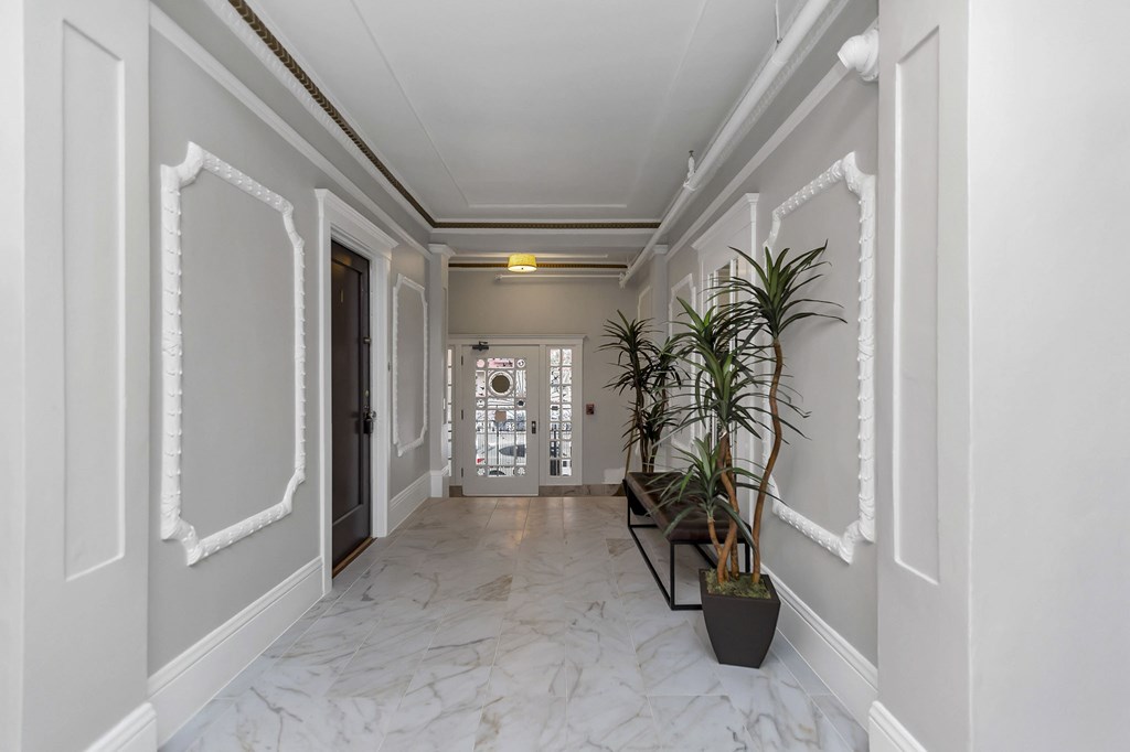 A long hallway with a plant on the right side.