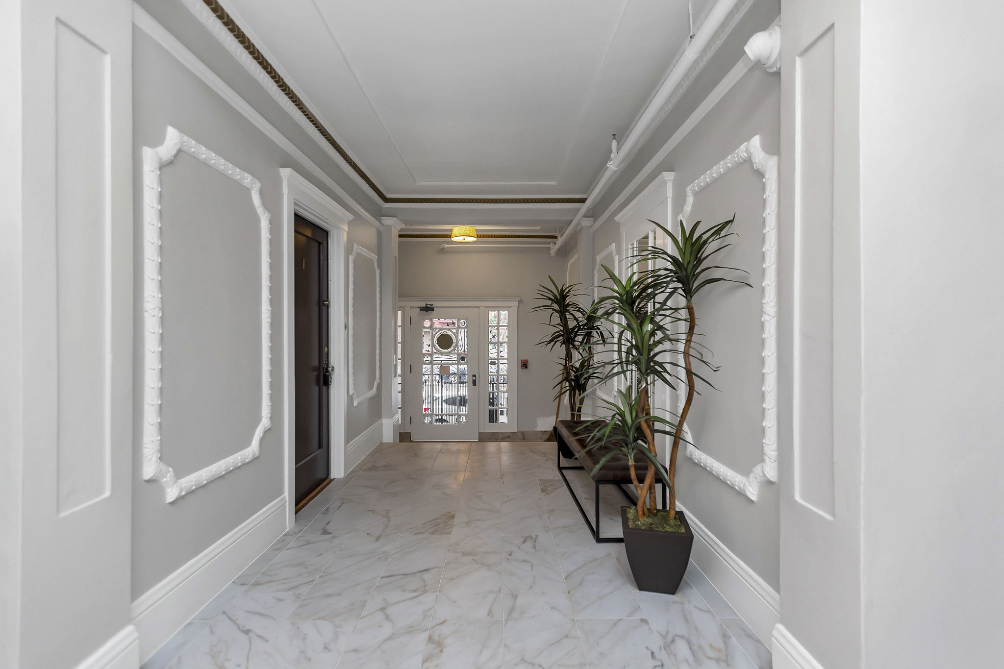 A long hallway with a plant on the right side.