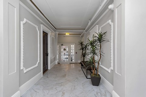 A long hallway with a plant on the right side.