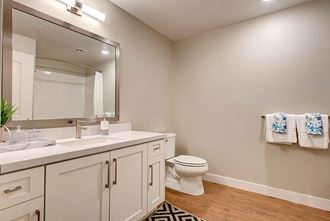 a bathroom with a toilet sink and mirror