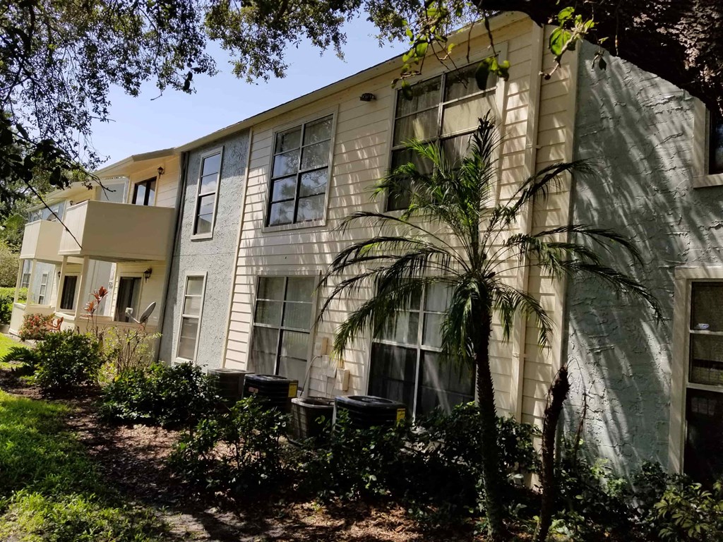 a white building with a palm tree in front of it